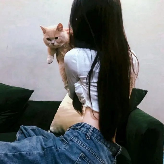 完美房子